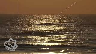 PFCFサンプル素材 010