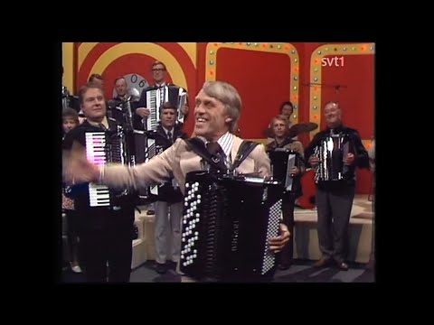 Minnenas television - Musik på spel (1974)