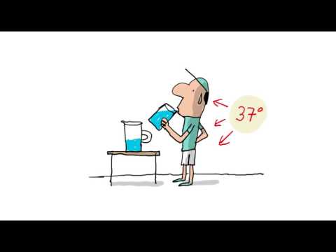 C'est quoi la canicule ? - 1 jour, 1 question