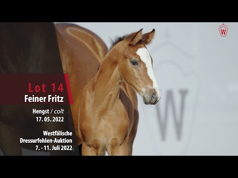 Dressurfohlen-Auktion Lot 14 Feiner Fritz Hengst v. Felissimo - Rotspon