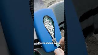 They Busted A Drug Dealing Pigeon 😮