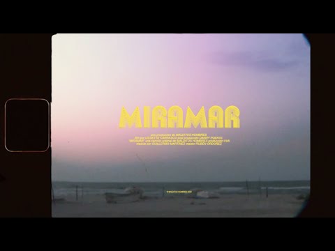 MVLDITOS HOMBRES - Miramar