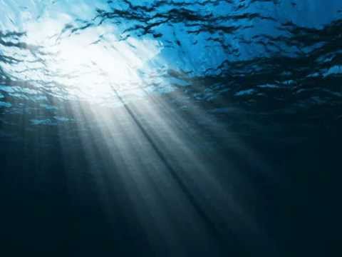 Merman cover