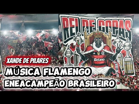 Music for Flamengo, nine-time Brazilian champions, made by Xande de Pilares #flamengo #mengão #mengo