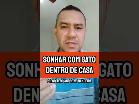sonhar com gato dentro de casa ⚠️ um alerta de Deus