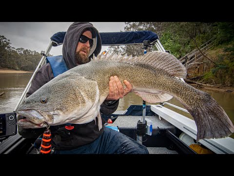 Voodoo Cod, Does history repeat itself?