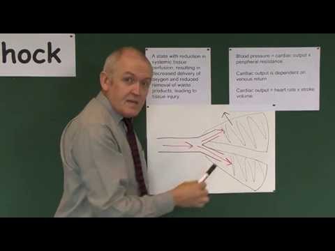 Shock 1, Definition and Physiology
