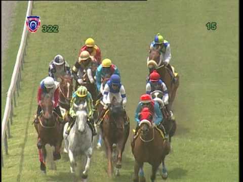 RACE MEETING 32 - 2015