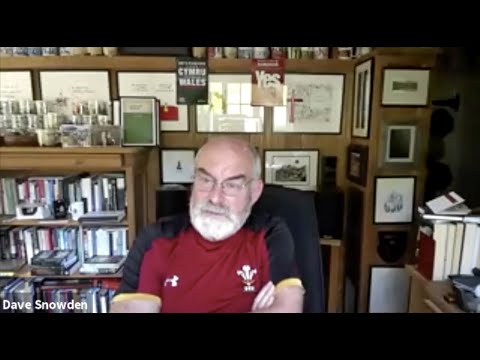 HR Bullshit w/ Dave Snowden