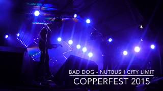 BAD DOG - Nutbush City Limits (Ike & Turner)