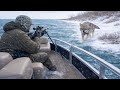 Are We Crazy Coyote Hunting From A Boat For Untouched Coyotes