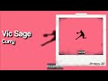Vic Sage Curry