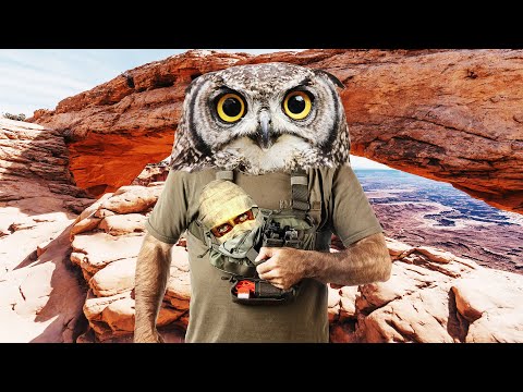 Can You Beat Fallout New Vegas' Honest Hearts at Level One?