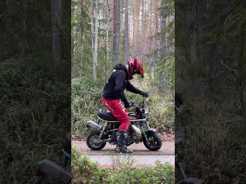 SUZUKI PV 250cc🤯 2-Stroke action!