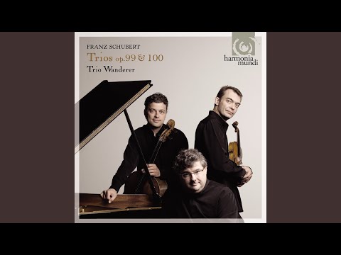 Piano Trio No. 1, Op. 99 D898: I. Allegro moderato