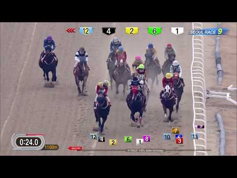 171203 Breeders`Cup(GⅡ) Seoul 9R