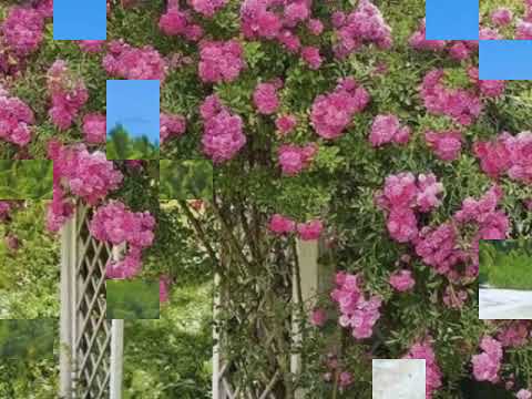 216-Despedida do culto- playback, Hinário Brados de Júbilo