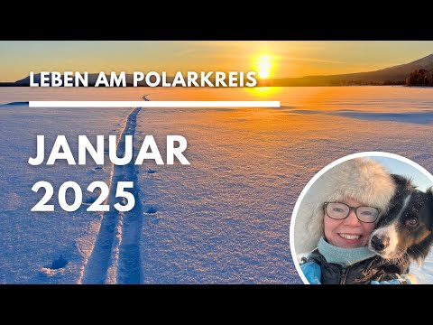 🇸🇪 Januar 2025: Rentiere, Tauphase und ganz viele Winter-Farben