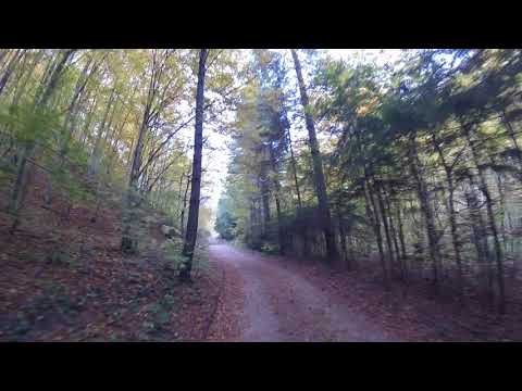 Final de urcare la Tăul Făerag.