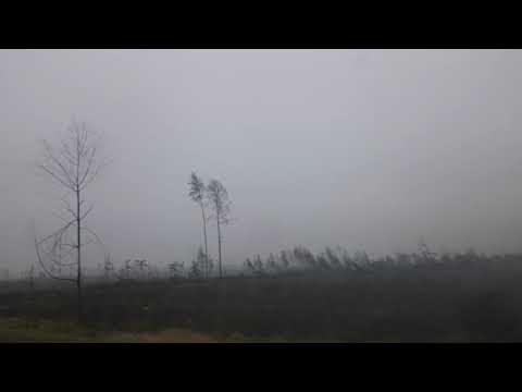 Krajobraz po nawałnicy z 11-12.08. 2017 roku woj Pomorskie trasa Rytel Jeziorki