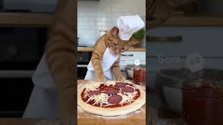 PIzza cat  #sora2  #aivideo #shorts