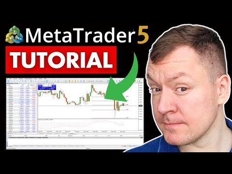 MetaTrader 5 Tutorial Einrichtung - für Anfänger (Deutsch)