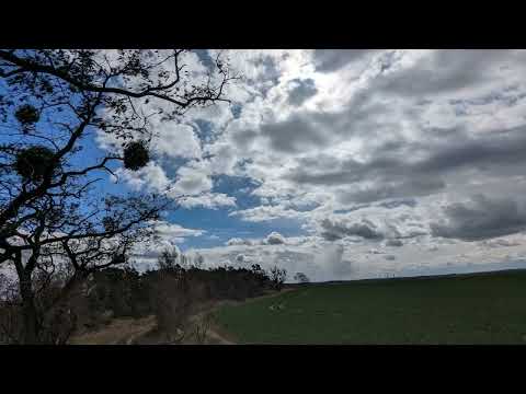 von allem etwas dabei trotzdem schön 🖐️