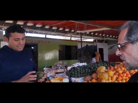 LAS MEJORES NARANJAS EN LA PROVINCIA DE PALPA  ICA PERÚ 