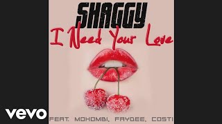 Shaggy, Mohombi, Costi &amp; Faydee - I Need Your Love (Official Audio)