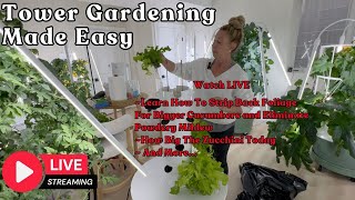 Tower Gardening Made Easy LIVE CAM #towergarden #hydroponicgardening #garden #farm #aeroponic