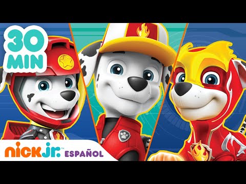 Paw Patrol, Patrulla de cachorros | 30 MIN de los mejores momentos de Marshall | Nick Jr. en Español