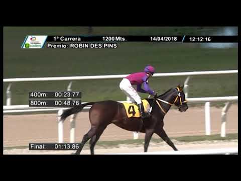 14/04/2018 – Hipodromo Las Piedras – Carr 1 – ROBIN DES PINS