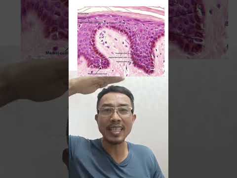 ประโยชน์ของแสงแดดคลิปสั้น ep 1