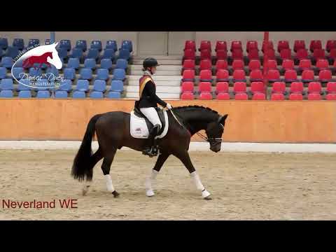 Neverland WE *2016 by FS Numero Uno x Champus K