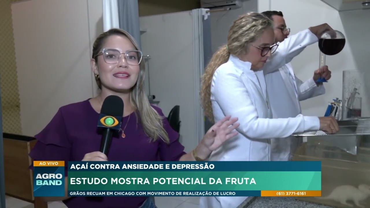 Açaí ganha novas pesquisas e pode ajudar no combate à ansiedade e depressão