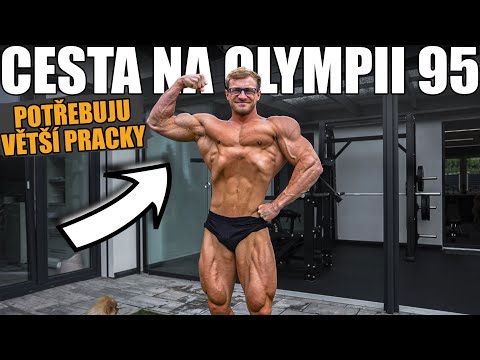 ALEŠOVA CESTA NA OLYMPII 95 - MŮJ PLÁN NA ZLEPŠENÍ SLABIN - Biceps a triceps