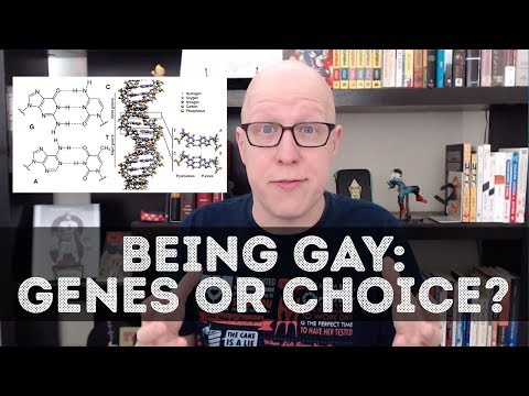Is sexual orientation genetic—or just a choice?