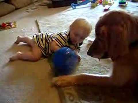 Funny dog and child