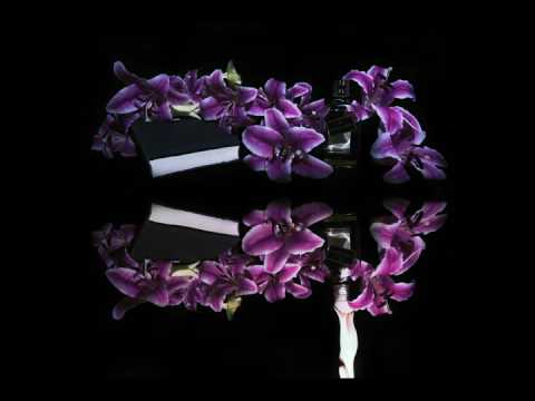 Video thumbnail for Atoms in Evening