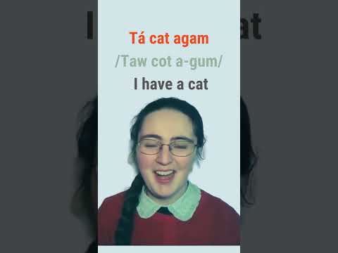 How to Say 'I Have A Cat in Irish' in Irish #bitesizeirish