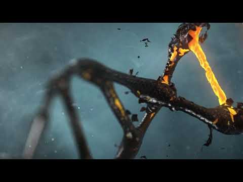 F.R.A {2famiglia} - DNA