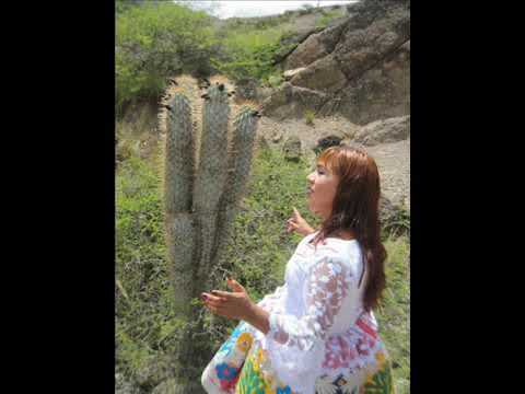 El perfume de una rosa