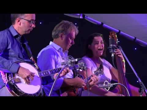 "Down Along the Dixie Line" - Gillian Welch
