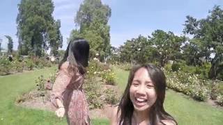 Sing&Dance Cover - Can't Stop The Feeling by Justin Timberlake