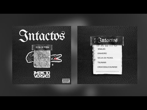 IMPACTO VERSADO - SELVA DE PEDRA [Prod.Kio]