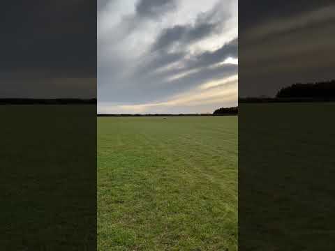 Lovely day for the Laser! #extremeflight