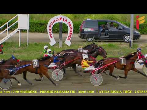 VII Corsa del 30 Aprile 2022 - Cat. G - Metri 1600 - TQQ