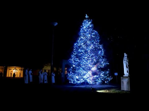 【清心のクリスマス】灯火に祈りをあつめよう　スペシャルムービー
