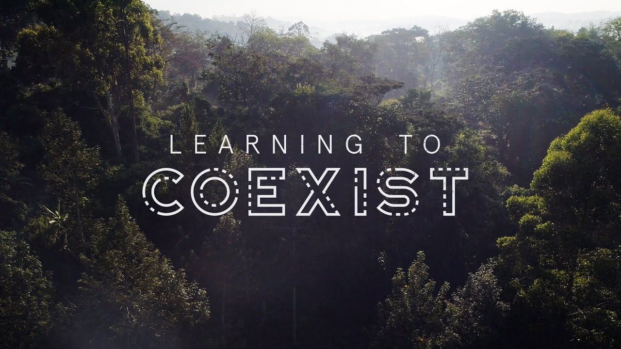 Learning to Coexist - Kibale National Park | WashU