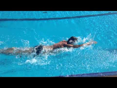 Swimming with Ted Part 2 (50m Sprint)